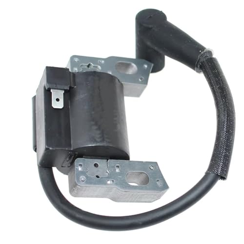 Zündspule für Briggs & Stratton 121R02 121R05 121S02 121Q07 121Q12 121Q72 121S05 121S07 121S72 121S75 121S77 122Q02 122Q05 von HQQYGDM