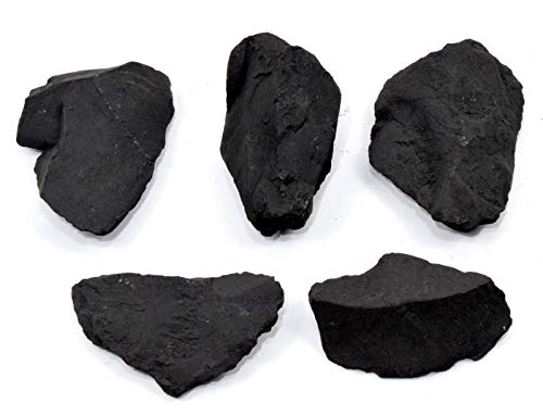 HQRP 100 g 5 Stück schwarzer Schungit rau, natürlicher Kohlenstoffkristall Wasserreinigung/Reinigung von Mineralsteinen, Felsproben aus Russland von HQRP