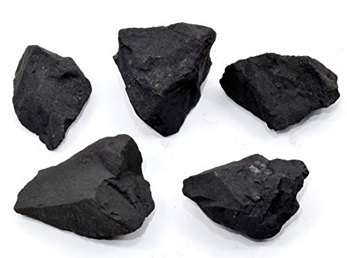 HQRP 100 g natürlicher schwarzer Schungit/Crabon Rohexemplare Wasserreinigung/Reinigung Stein Kristall Mineralstein aus Russland (5 Stück) von HQRP