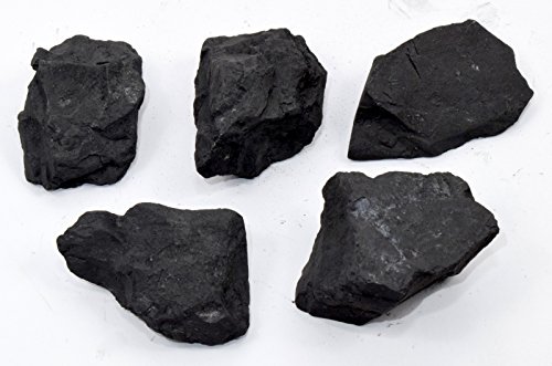 HQRP Set: 5 Stück (105 g) schwarzer Schungit, roh, natürliche Kristallwasserreinigung/-reinigung, Mineralstein-Exemplare aus Russland. von HQRP