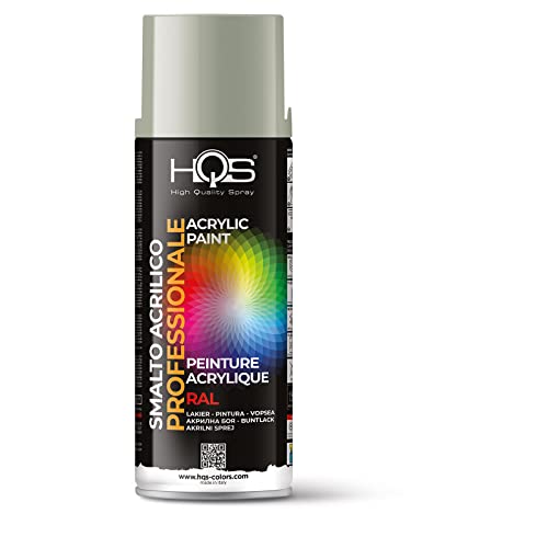 HQS Farbe Spraydose Acryl Farbe Ral (Ral 7032 Grau Kies) von HQS High Quality Spray