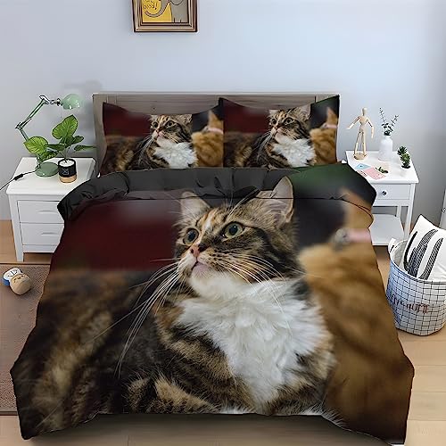 HRBK Bettwäsche 135x200 cm Schwarze Maine-Coon-Katze Bettbezug 3 Teilig Set Tier Muster mit Reißverschluss, Mikrofaser Flauschige Weich Bettwäsche-Sets mit 2 Kissenbezug 80x80 cm von HRBK