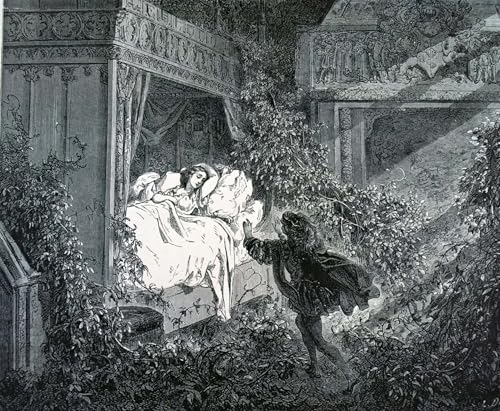 HRJUBWREE Bekannt Abstrakte Leinwand Kunst Moderne Kunst Wandbild Die ankunft im schlafzimmer der prinzessin im verzauberten Schloss von gustave dore Leinwanddruck Malerei für Wanddekoration 60x90cm von HRJUBWREE
