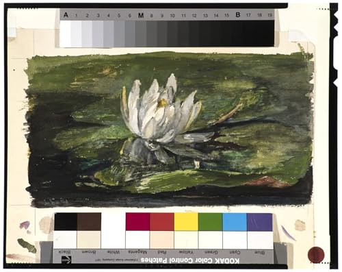 HRJUBWREE Bekannt Wandkunst Bild Druck Vintage Leinwandkunst Seerose im Sonnenlicht von John La Farge oder Lafarge Kunstwerk Bilder für Bürodekoration 60x90cm von HRJUBWREE
