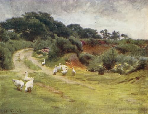 HRJUBWREE Berühmte Gemälde Druck Leinwand Malerei Bilder Wandgemälde der New Forest Royden Common in der Nähe von Brokenhurst von Walter Frederick Roofe Tyndale für Wohnzimmer Dekoration 60x90cm von HRJUBWREE
