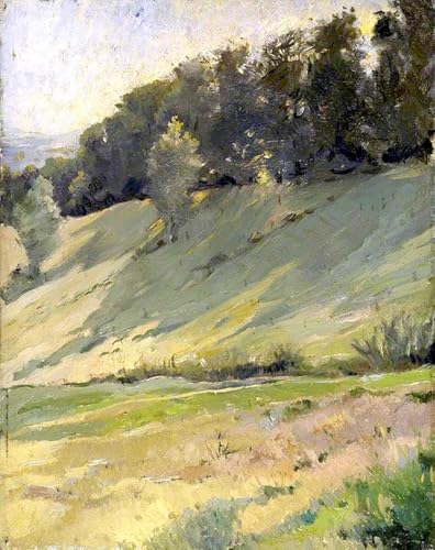 HRJUBWREE Kunst Gemälde Leinwand Malerei Poster Leinwand Wandkunst Blick Von Llandrindod Wells Auf Den Upper Link Von Sarah Paxton Ball Dodson Ölgemälde Wandbilder für Wohnzimmer Dekoration 60x90cm von HRJUBWREE