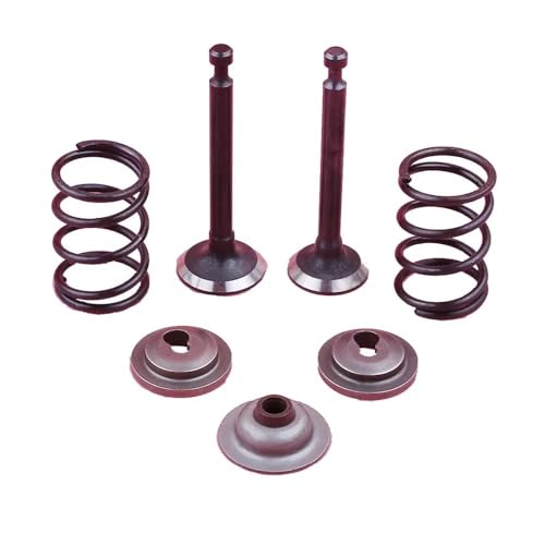 Retainer Stem Seal Spring Set Fit for GX25 HHT25S GX 25 25CC Motor Pinsel Cutter Teil Retainer Stem Seal Spring Set Fit for GX25 HHT25S GX 25 25CC Motor Pinsel Cutter Teil von HRKAURB