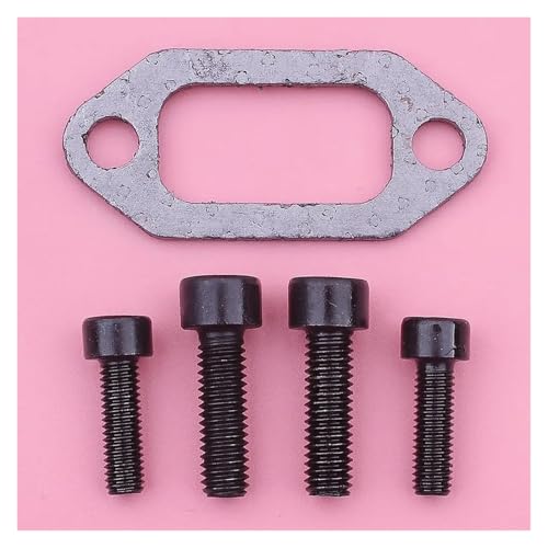 Schraube W Dichtungssatz Passend for 61 268 272 272K 272XP Kettensägenteile 7255369-55, 7255370-55, 503 40 54-01 Schraube W Dichtungssatz Passend for 61 268 272 272K 272XP Kettensägenteile 7255369-55, 7255370-55, 503 40 54-01 von HRKAURB