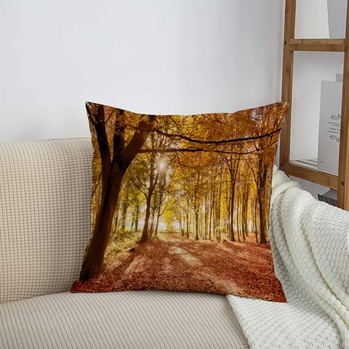 HRRASFAZF Garten Dekorative Kissenhülle Zierkissen Bezüge für Sofa Wohnzimmer Sommer Frühling Kissenbezug,Waldboden bedeckt mit Leuchtend orangefarbenen Herbstblättern und Morgensonne, die,50x50 cm HRRASFAZF Garten Dekorative Kissenhülle Zierkissen Bezüge für Sofa Wohnzimmer Sommer Frühling Kissenbezug,Waldboden bedeckt mit Leuchtend orangefarbenen Herbstblättern und Morgensonne, die,50x50 cm von HRRASFAZF