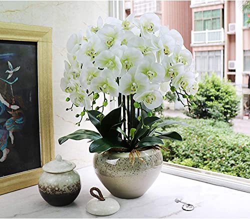 HRTC 10 künstliche Phalaenopsis-Blumen, einzigartige, stilvolle künstliche Orchideen mit Porzellan-Blumentopf, künstliche Blumen, dekorative Orchidee von HRTC