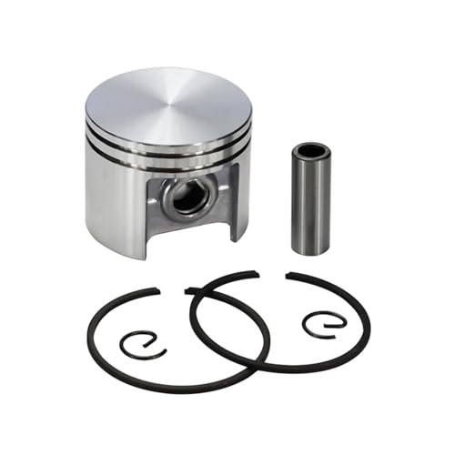 Motorüberholung 42,5 mm und 40 mm Kolbenbolzenringsatz passend for MS250 MS210 MS230 MS230C Kettensägen-Ersatzteile(42.5mm) von HRTHCAJ