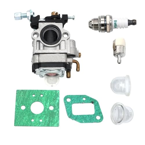 Motorvergaser passend for BP40 BP40LE BP45LE BP50 BP50LE BP60 BP65LE Rucksackgebläse Ersatzteil von HRTHCAJ