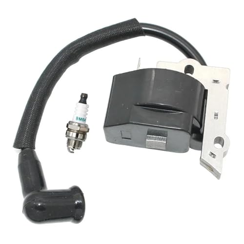 Zündspule passend for XT125K XT125KT XT125T XT125TR WT3100 BC30B WT3100 176 196 PP111 PP114 PP117 von HRTHCAJ