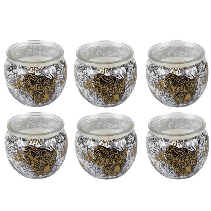 HS Candle Duftkerze Motiv 6er Pack Anti Tabak Ginger Lime von HS Candle