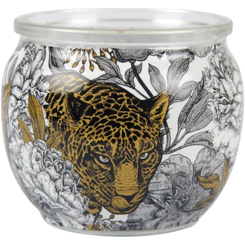 HS Candle Duftkerze Motiv Kerze Raumduft AntiTabak Ginger Lime von HS Candle