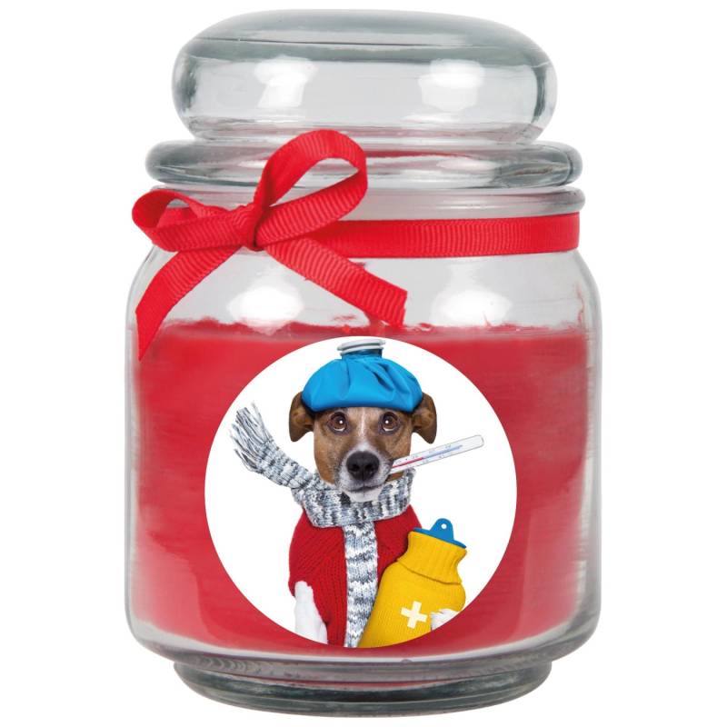 HS Candle Duftkerze & Glas Genesung Rose Rot von HS Candle