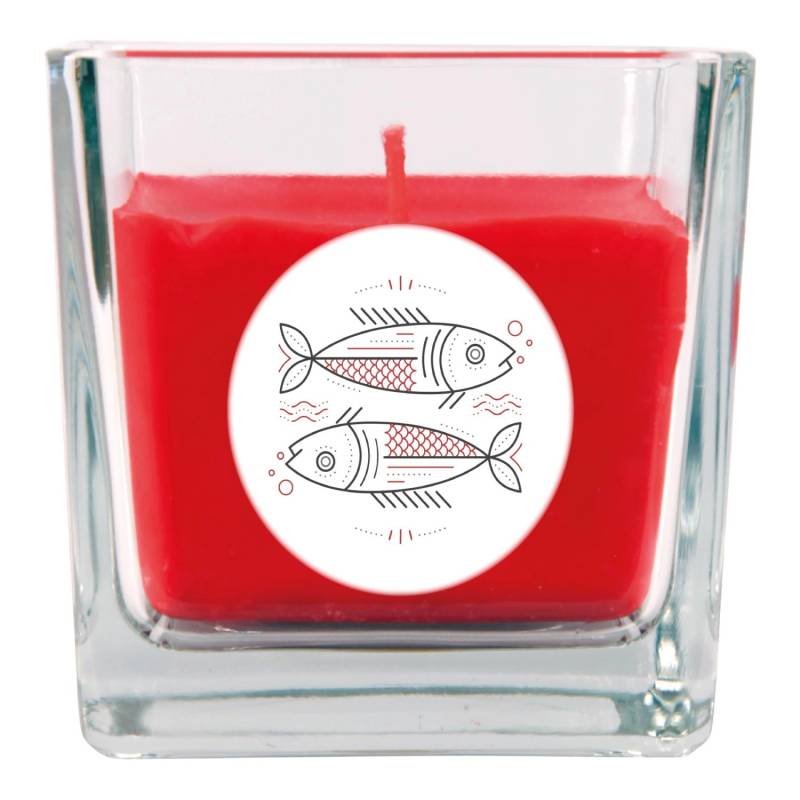 HS Candle Duftkerze & Glas Sternzeichen Rose 50 Stunden Fische von HS Candle