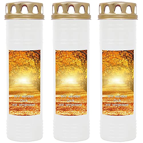 HS Candle Grabkerze Grablicht - 3er Pack - mit Motiv (Allee) - ca 170h / 7 Tage Brenndauer je Kerze (26cm, Ø 7cm) - viele versch. Designs von HS Candle