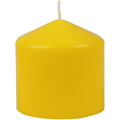 HS Candle Wachskerzen Stumpenkerzen Ø8cm x 8cm (viele Farben) - Lange Brenndauer - Hergestellt in EU - Kerzen Blockkerzen - Wachs Stumpen von HS Candle