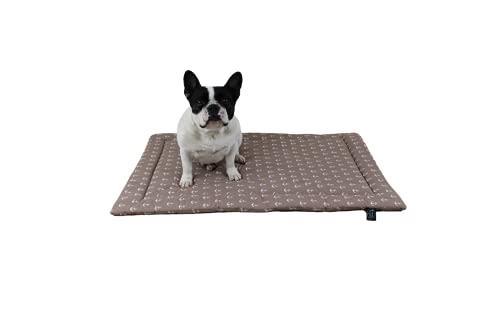 Made in Germany rutschfeste Hundedecke Sommer, Anker Beige, 45x65cm für kleine & große Hunde I weiche Kuscheldecke, waschbar, trocknergeeignet von HS-Hundebett