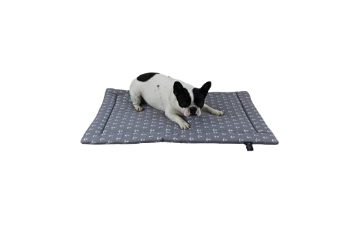 Made in Germany rutschfeste Hundedecke Sommer, Anker Grau, 55x75cm für kleine & große Hunde I weiche Kuscheldecke, waschbar, trocknergeeignet von HS-Hundebett