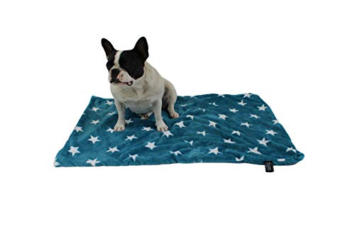 Made in Germany Hundedecke, Sterne Petrol, 45 x65cm für kleine & große Hunde I Flauschige Hunde Sommerdecke, waschbar, trocknergeeignet von HS-Hundebett