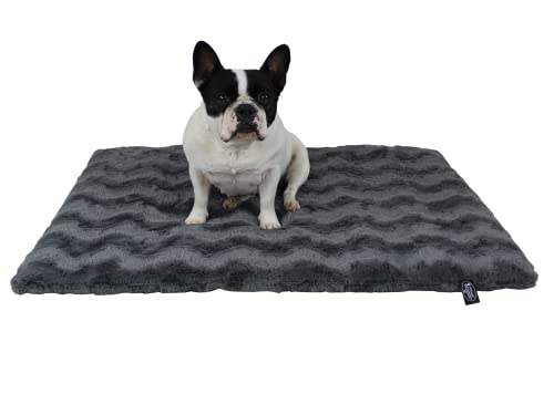 HS-Hundebett 45x65cm Anthrazit gepolsterte Exklusivdecke in Unifarben I Hundedecke Made in Germany I Weiche Kuscheldecke für große & kleine Hunde I waschbar bei 40° - trocknergeeignet von HS-Hundebett