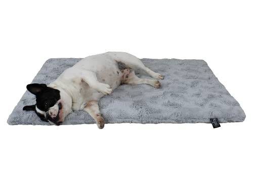 HS-Hundebett 45x65cm Hellgrau gepolsterte Exklusivdecke in Unifarben I Hundedecke Made in Germany I Weiche Kuscheldecke für große & kleine Hunde I waschbar bei 40° - trocknergeeignet von HS-Hundebett