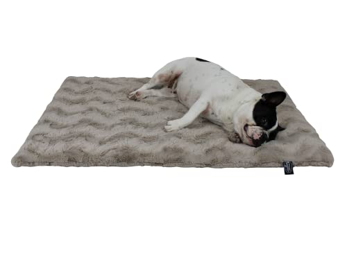 HS-Hundebett 45x65cm Sand gepolsterte Exklusivdecke in Unifarben I Hundedecke Made in Germany I Weiche Kuscheldecke für große & kleine Hunde I waschbar bei 40° - trocknergeeignet von HS-Hundebett