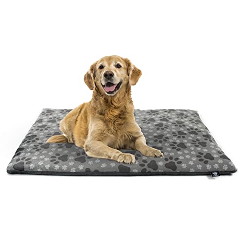 Made in Germany gepolsterte Hundedecke, Pfote Grau 65x95cm für kleine & große Hunde I Flauschige Hundedecke, waschbar, trocknergeeignet von HS-Hundebett