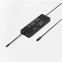 Halemeier Smartempfänger MultiWhite² 12VDC von HS ROWE