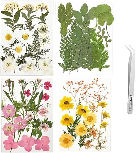 Hsajs Handgepresste Trockenblumen Set Naturgetreue Deko Blumen Für Kunsthandwerk Scrapbooking DIY Projekte Und Wohnkultur 4er Pack Mit Pinzette 150stück von HSAJS