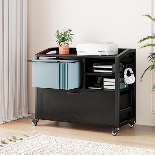 HSH Mobiler Aktenordner, sicherer Rollschrank mit verstellbarem Stauraum, Druckerregal und Dokumentenmanagement, schwarz, 84 cm HSH Mobiler Aktenordner, sicherer Rollschrank mit verstellbarem Stauraum, Druckerregal und Dokumentenmanagement, schwarz, 84 cm von HSH