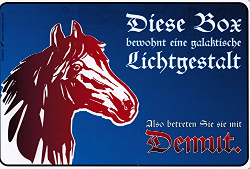 Schild - Diese Box bewohnt eine. - Gr. 30x20 cm - 309176 von HSK