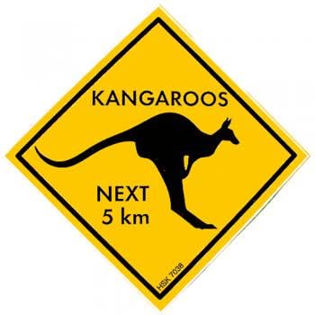 Schild mit Saugnäpfen - KANGAROOS - 307038 - Gr. ca. 15 x 15 cm von HSK