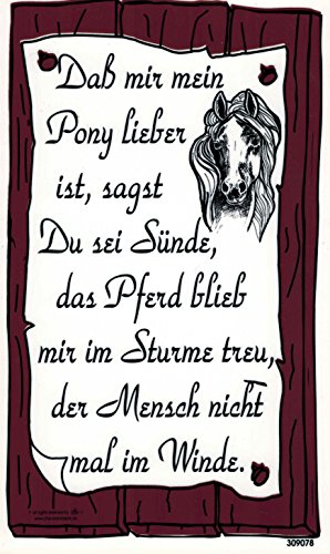 Schild mit Spruch - Dass mir mein Pony lieber - Gr. 25x15 cm - 309078 - Tiere Pferd von HSK