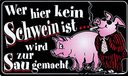 Spaß-Schild - WER HIER KEIN SCHWEIN IST - 309251-25cm x 15cm - Tiere Schwein Spruch von HSK