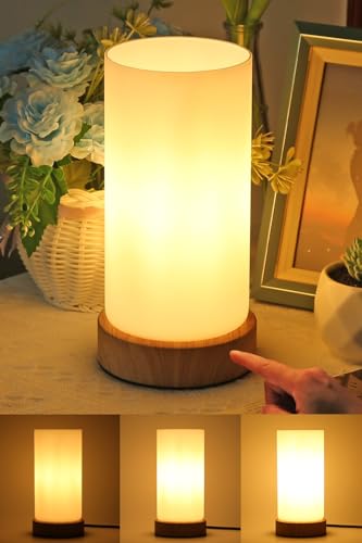 HSLighting Nachttischlampe, Touch Dimmbar Tischlampe mit Glas Lampenschirm Night Light Glühbirne 3 Helligkeitsstufen Einstellbar Nachtischlampen Tischleuchte Minimalistische für Lesen Wohnzimme von HSLighting