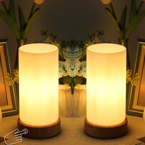 HSLighting Nachttischlampe Touch Dimmbar: Tischlampe mit Glas Lampenschirm Touch Dimmbare Glühbirne 3 Helligkeitsstufen Einstellbar Schreibtischlampe Minimalistische für Lesen Wohnzimme von HSLighting