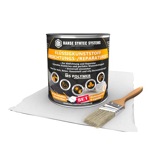 HSS Flüssigkunststoff Abdichtungsset inkl. Pinsel und Vlies - 3-fache Ergiebigkeit - 1m² SET, Lösemittel- & bitumenfrei, Dichtet sofort, MS Polymere (grau - 1 Kg SET) von HSS