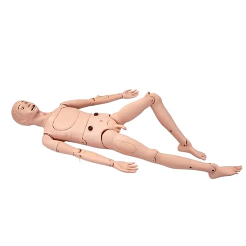 170Cm Nursing Skills Training Manikin Male Patient Care Life Size 63In Full Body for Nursing Medical Training 170Cm Nursing Skills Training Manikin Male Patient Care Life Size 63In Full Body for Nursing Medical Training von HSTBLEOO