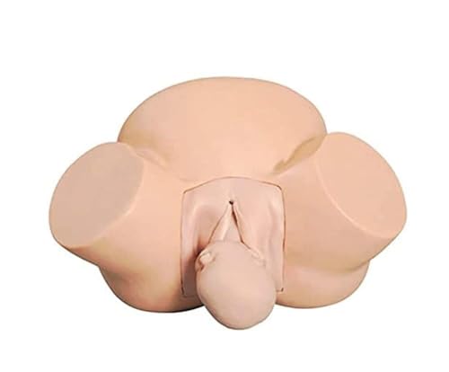 Geburtssimulatorpuppe – Trainingsmodell for Geburtshilfe und Gynäkologie for die medizinische Ausbildung und Fruchtbarkeitsstudien von HSTBLEOO