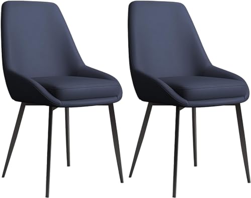 HSTBLEOO 2 Esszimmerstühle, doppelt verdicktes Lederkissen, Sitzhöhe 45 cm, Schwarze Eisenhalterung(C) von HSTBLEOO