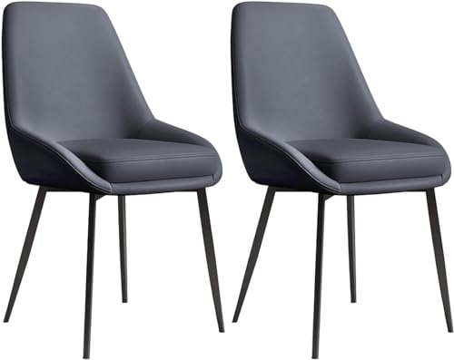 HSTBLEOO 2 Esszimmerstühle, doppelt verdicktes Lederkissen, Sitzhöhe 45 cm, Schwarze Eisenhalterung(D) von HSTBLEOO