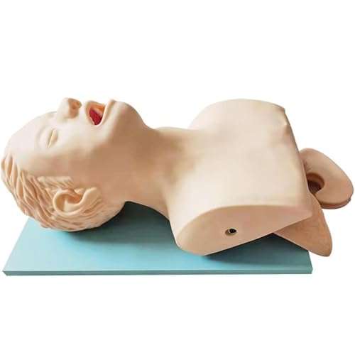 Intubation First Aid Practice Model Advanced Electronic Human Tracheal Intubation Training Model Adult Electronic Intubation First Aid Practice Model Advanced Electronic Human Tracheal Intubation Training Model Adult Electronic von HSTBLEOO
