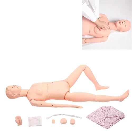 Male And Female Catheterization Mannequin Multifunctional Nursing First Aid Training Simulation Cardiopulmonary Resuscitation Male And Female Catheterization Mannequin Multifunctional Nursing First Aid Training Simulation Cardiopulmonary Resuscitation von HSTBLEOO