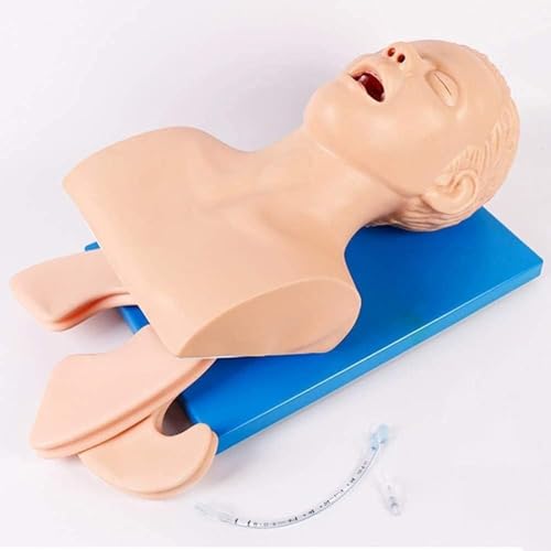 Orale nasale Trachealintubationspuppe Elektronische Trachealintubationspuppe for Erwachsene Trainingssimulator Atemwegsmanagement Orale nasale Trachealintubationspuppe Elektronische Trachealintubationspuppe for Erwachsene Trainingssimulator Atemwegsmanagement von HSTBLEOO