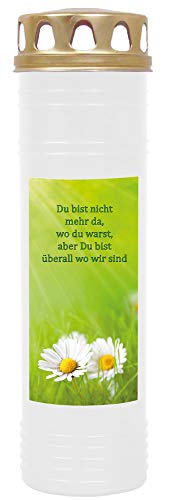 HScandle Grablicht (Weiß) Grabkerze ca. 170h Brenndauer / 7-Tage Brenner - Motiv: Gänseblümchen, in vielen Varianten von HScandle