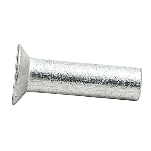 Fallen nicht ab Nieten, Flachkopf-Vollnieten Durchmesser Glatte metrische Schlagnietbefestigungen (M8 x 25 mm)(M8 x 16mm) von HTGAOO