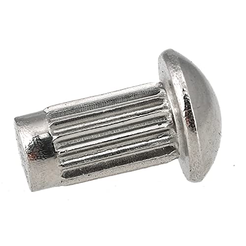 Fallfeste Nieten, Rundkopf-Vollnieten, Durchmesser Pilztyp, glatter Körper, Zylinder-Schlagbefestigungen (M4 x 6 mm)(M4 x 10mm) von HTGAOO